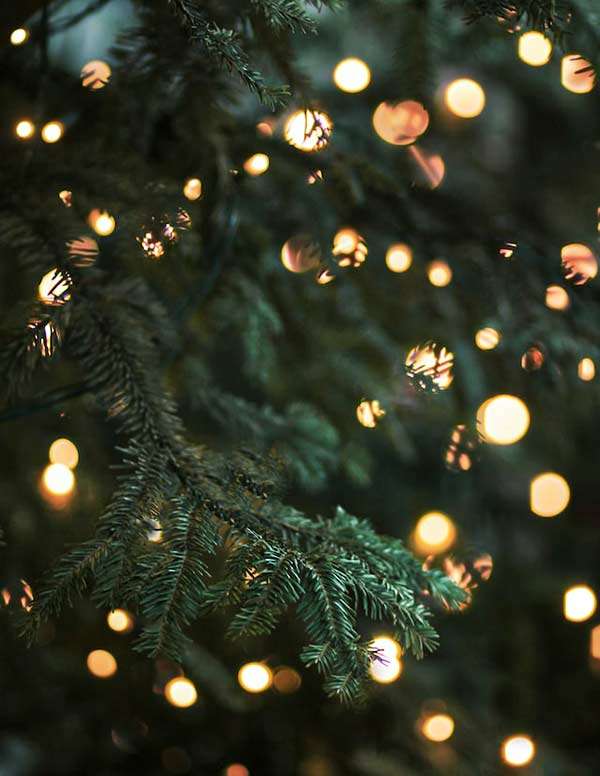 Outdoor Christmas Light Installation In Midlothian, TX