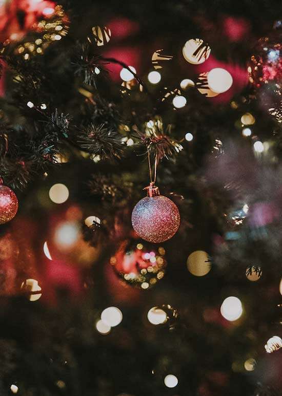 Outdoor Christmas Light Installation In Midlothian