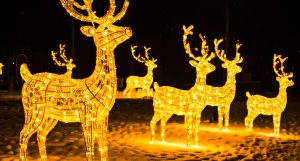 Outdoor Reindeer Christmas Decoration